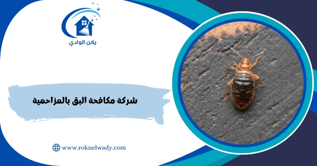 شركة مكافحة البق بالمزاحمية