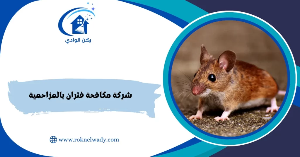 شركة مكافحة فئران بالمزاحمية