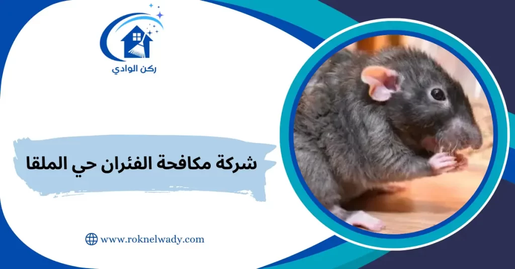 شركة مكافحة الفئران حي الملقا