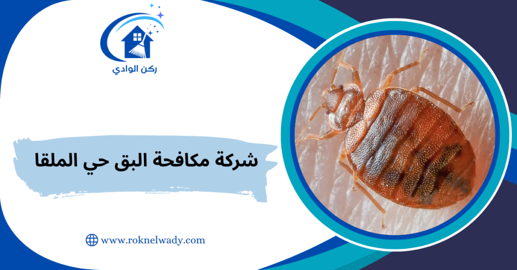 شركة مكافحة البق حي الملقا
