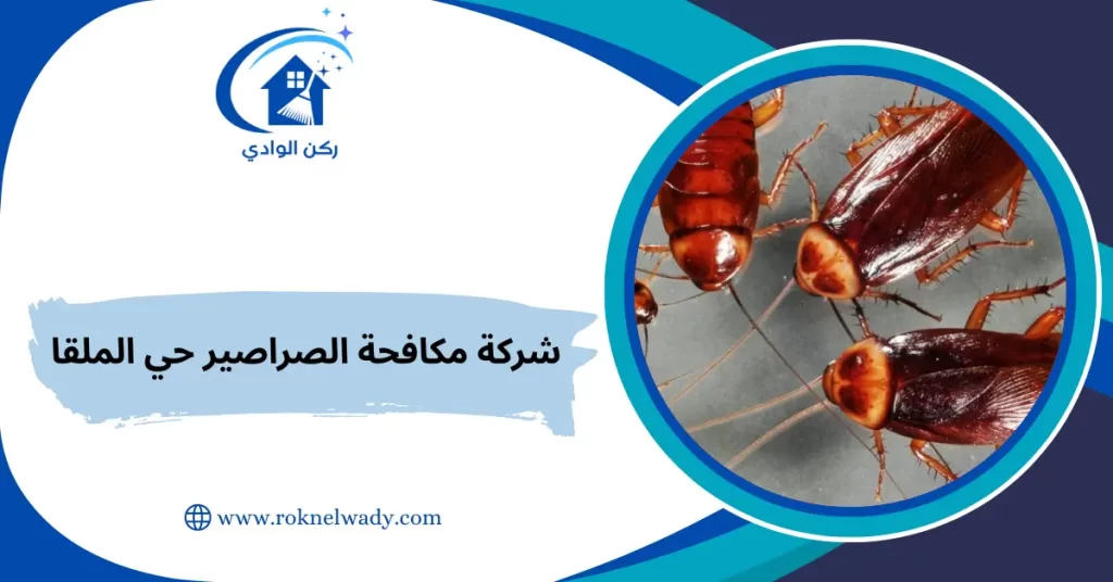 شركة مكافحة الصراصير حي الملقا