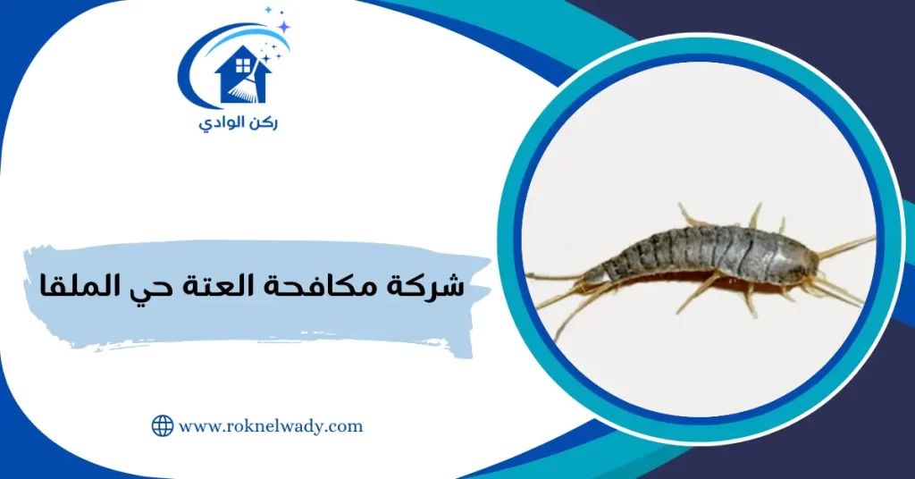 شركة مكافحة العتة حي الملقا