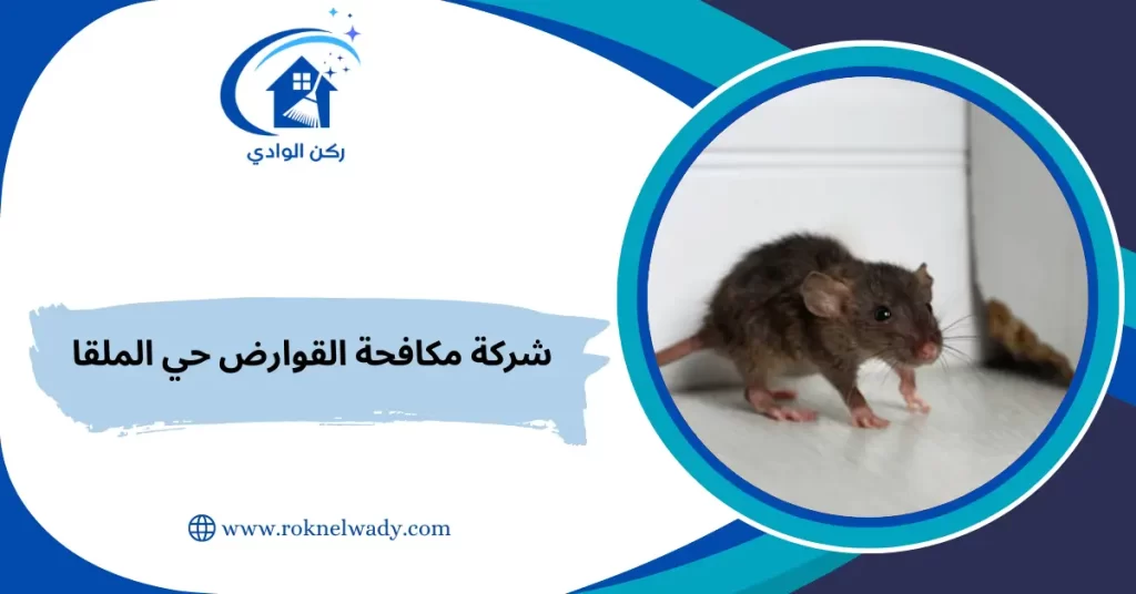 شركة مكافحة القوارض حي الملقا