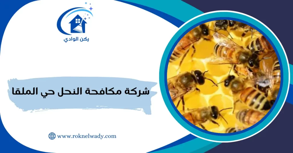 شركة مكافحة النحل حي الملقا