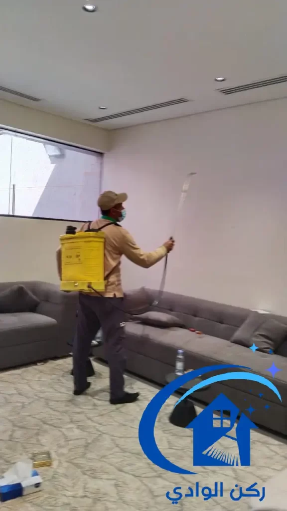 رش المنازل بالمبيدات الحشرية