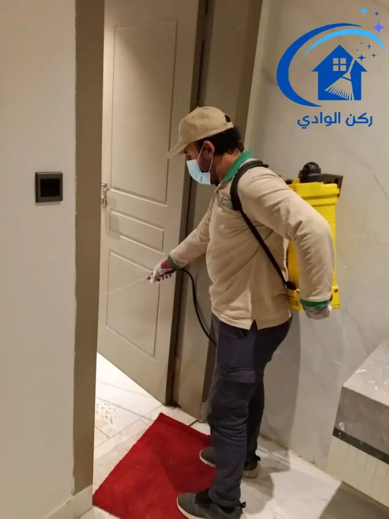 شركة مكافحة العتة حي الملقا مكافحة العتة