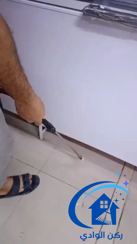  تنظيف حشرات