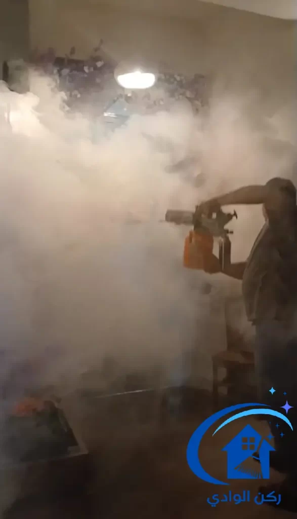 تنظيف حشرات