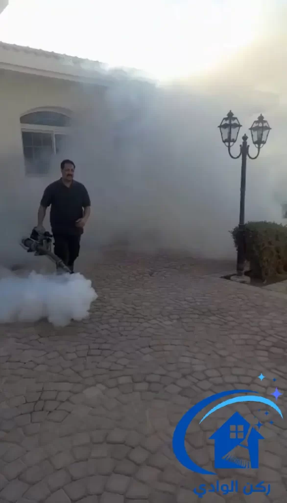 علاج النمل الابيض