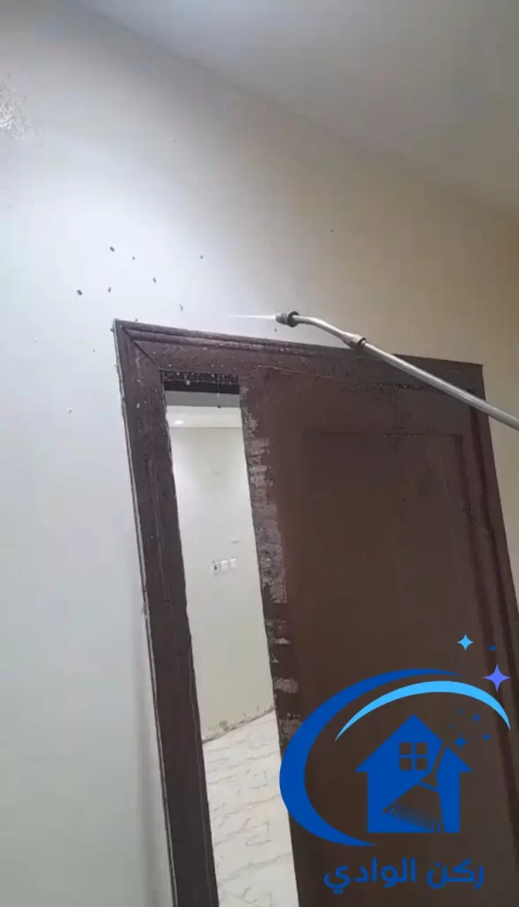  تنظيف حشرات 