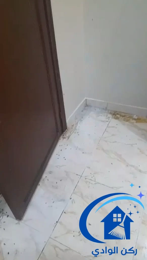 القضاء علي الحشرات