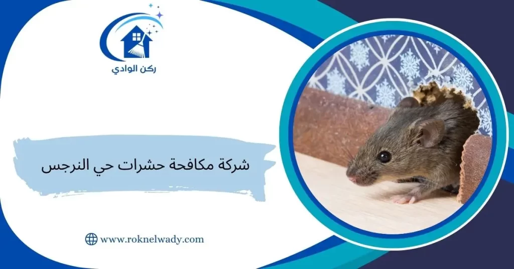 شركة مكافحة حشرات حي النرجس