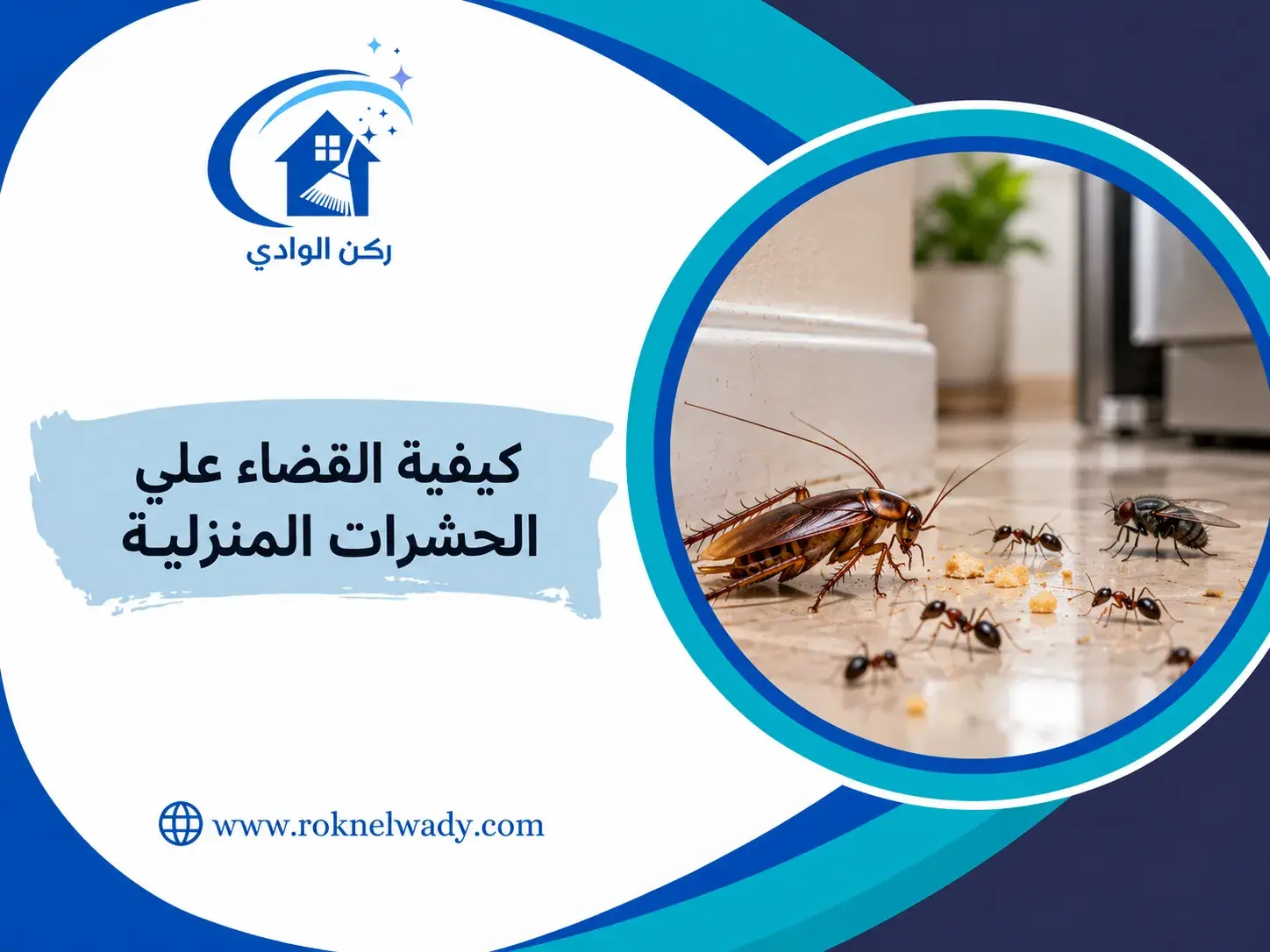 شركة مكافحة العقارب بالرياض ركن الوادي