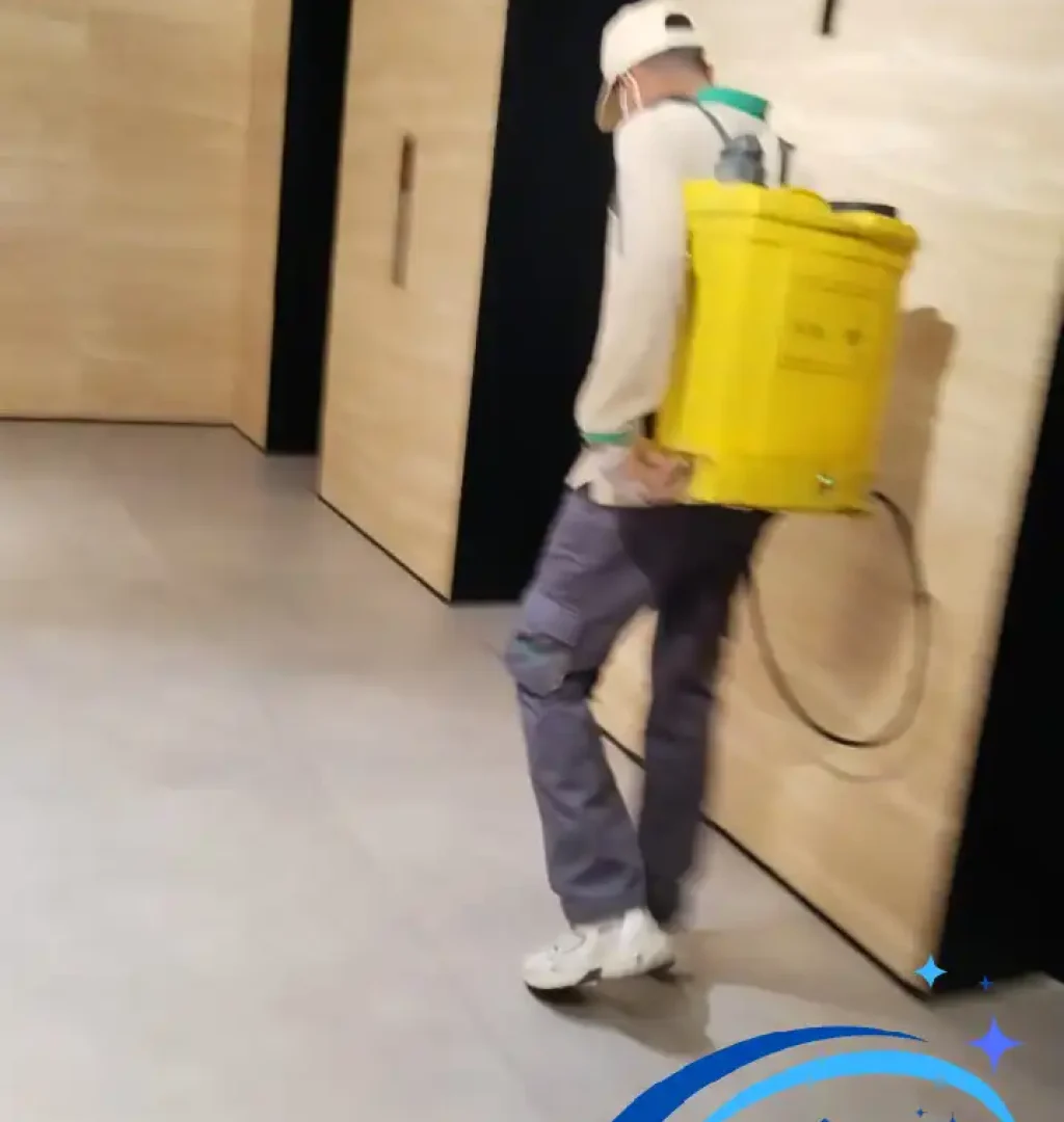 التخلص من حشرة العتة