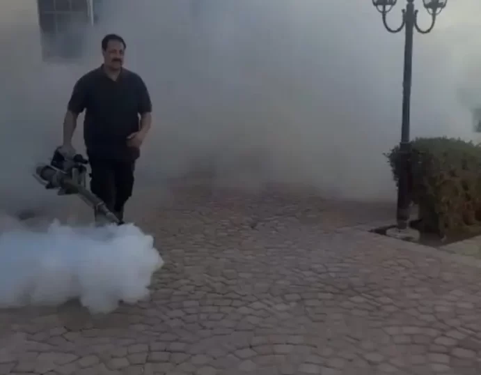 علاج النمل الابيض