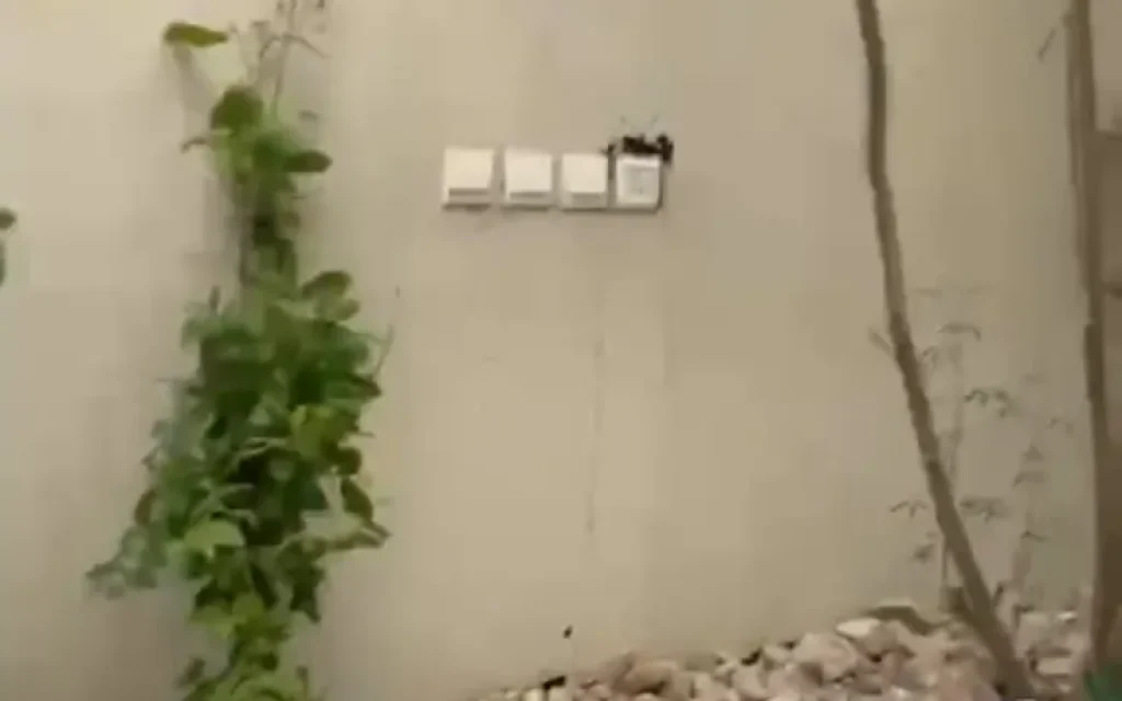 شركة مكافحة النحل بالرياض